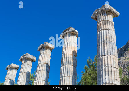 Tempio di Atena, resti di antiche Priene, Aydin Provincia, Turchia Foto Stock