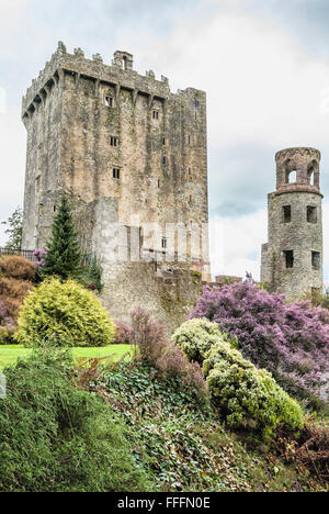Il castello di Blarney ospita la leggendaria pietra di Blarney, Cork, Irlanda Foto Stock
