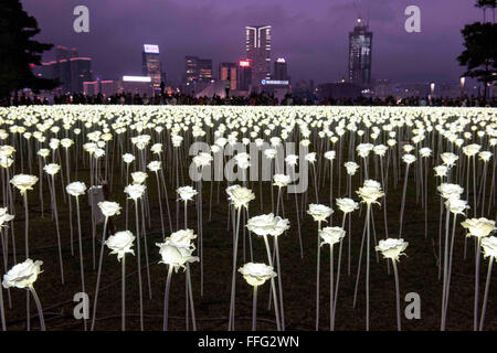 Hong Kong, Hong Kong, Cina. Xiii Febbraio, 2016. Guardando attraverso il Victoria Harbour a Tsim Sha Tsui.originari da Seoul, Corea, questa massa di arte pubblica il progetto di installazione 'Light Rose Garden '"' Hong Kong'' illumina la Tamar Park Admiralty, ogni notte alle 6 del pomeriggio per 8 notti durante il periodo festivo intorno occidentali e cinesi di San Valentino (giorni 14 - 22 Feb).Il team creativo, PANCOM e curatore tuttiidirittiriservati, hanno piantato una spettacolare mare di 25.000 rose bianche, fatta di luci LED, in uno di Hong Kong di più punti di riferimento simbolico '"' il Central Promenade. (Credito Immagine: © Jayne Russell via ZUMA Foto Stock