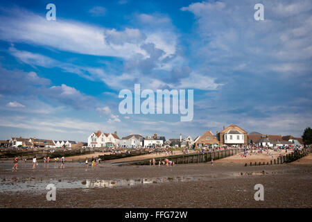 WHITSTABLE, Regno Unito - 21 agosto 2014: Le persone sono alla ricerca di granchi e vongole sul letto del mare con la bassa marea a Whitstable. I visitatori di ca Foto Stock