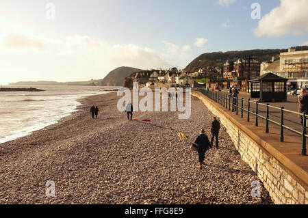 Sidmouth, Devon. La spiaggia e il lungomare su una giornata invernale e. Foto Stock