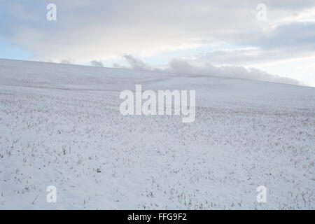 Campi invernali del nord della Slovacchia. Foto Stock