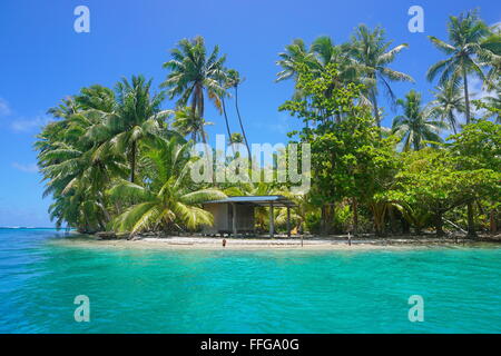 Una piccola capanna con vegetazione tropicale sulla riva di un isolotto, Huahine isola, oceano pacifico, Polinesia Francese Foto Stock