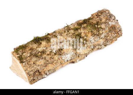Un pezzo di legna da ardere isolati su sfondo bianco Foto Stock