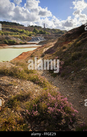 La cameriera Wheal Valley vicino a Crofthandy in Cornovaglia. Foto Stock