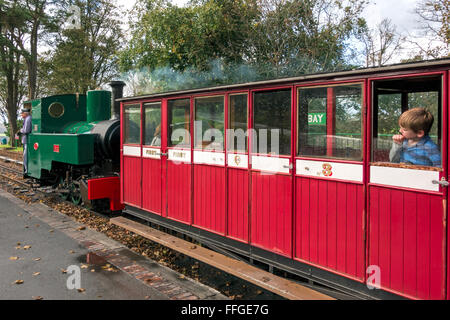 Lynton e Barnstaple Ferrovie a Vapore Foto Stock