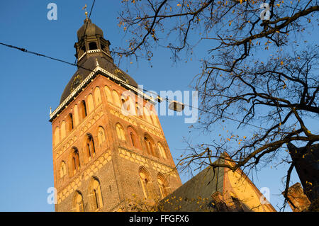 Cupola luterana Cattedrale di Riga, Lettonia Foto Stock