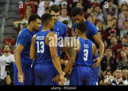 La Columbia, SC, Stati Uniti d'America. Xiii Febbraio, 2016. NCAA Basketball match-up tra il Kentucky Wildcats e il South Carolina Gamecocks a vita coloniale Arena in Columbia, SC. Scott Kinser/CSM/Alamy Live News Foto Stock