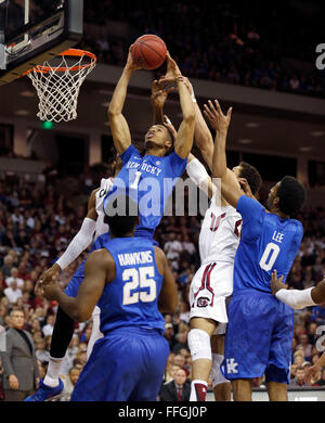 La Columbia, SC, Stati Uniti d'America. Xiii Febbraio, 2016. Kentucky Wildcats avanti Skal Labissiere (1) afferrato un rimbalzo come l'Università di Kentucky ha giocato l'Università della Carolina del Sud a vita coloniale Arena in Columbia, SC., sabato 13 febbraio, 2016. Questa è la prima metà uomini college basketball azione. Credito: Lexington Herald-Leader/ZUMA filo/Alamy Live News Foto Stock