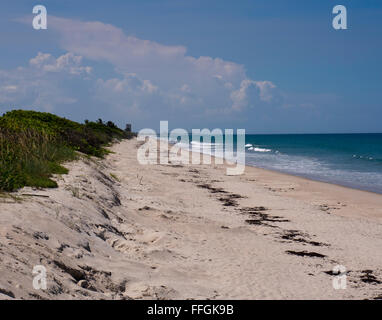 Le spiagge della contea di Brevard Florida a Melbourne Beach. Foto Stock