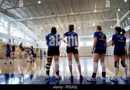 Membri della Air Force femminile di pallavolo team scrimmage contro la Utah State University gamma squadra di pallavolo a Hill Air Force Base in Utah, in preparazione per le forze All-Armed femminile di pallavolo torneo. Dopo il torneo è finita, allenatori del team avrà la possibilità di scegliere i giocatori da tutte le squadre partecipanti di competere nel mondo campionati militari in Amsterdam. Foto Stock