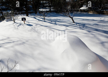 Auto sotto la neve profonda - Virginia STATI UNITI D'AMERICA Foto Stock