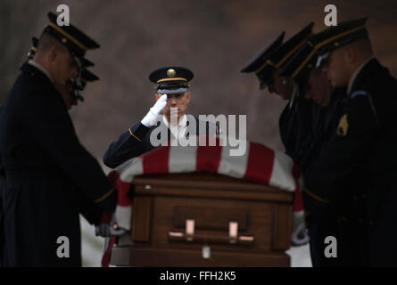 Sgt. Il Mag. Michael Callaghan-McCann saluta i resti di esercito di Forze Aeree Sgt. Charles A. Gardner durante una cerimonia funebre al cimitero nazionale di Arlington, in Arlington, Virginia Gardner, insieme con 11 dei suoi compagni di equipaggio, sono scomparsi il 10 aprile 1944, dopo il suo B-24D Liberatore è stato abbattuto su Nuova Guinea. Callaghan-McCann è il primo battaglione, 3° Reggimento di Fanteria del comando del sergente maggiore. Foto Stock