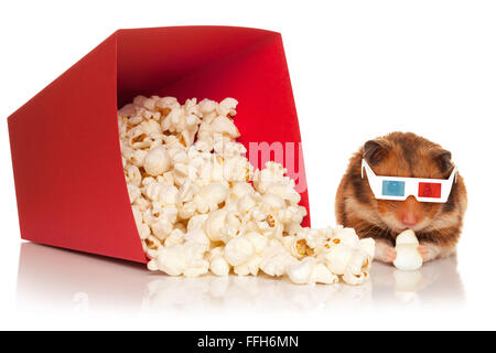 Hamster in occhiali 3d masticare popcorn accanto alla benna rosso, isolata su uno sfondo bianco. Foto Stock