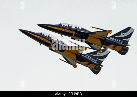 Singapore. Xiv Feb, 2016. Le Aquile nere dalla Corea del Sud Air Force effettua in media anteprima del volo acrobatico display del Singapore Airshow presso il Centro Fieristico Changi di Singapore, 14 febbraio, 2016. Due giorni prima dell'apertura del Singapore Airshow, gli elementi di supporto sono dato un assaggio del display dell'antenna dell'Asia la più grande industria aerospaziale e difesa mostra di domenica. Credito: Quindi Chih Wey/Xinhua/Alamy Live News Foto Stock