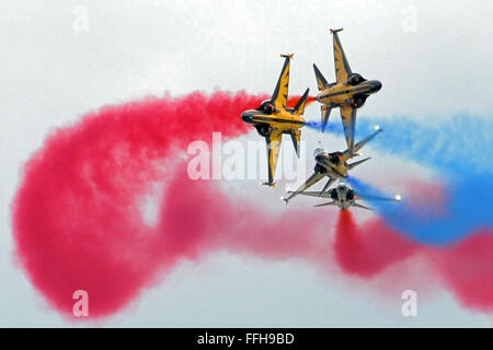 Singapore. Xiv Feb, 2016. Le Aquile nere dalla Corea del Sud Air Force effettua in media anteprima del volo acrobatico display del Singapore Airshow presso il Centro Fieristico Changi di Singapore, 14 febbraio, 2016. Due giorni prima dell'apertura del Singapore Airshow, gli elementi di supporto sono dato un assaggio del display dell'antenna dell'Asia la più grande industria aerospaziale e difesa mostra di domenica. Credito: Quindi Chih Wey/Xinhua/Alamy Live News Foto Stock