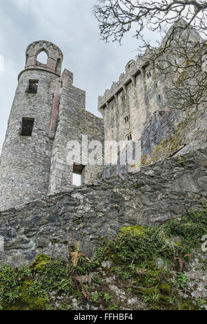 Il castello di Blarney ospita la leggendaria pietra di Blarney, Cork, Irlanda Foto Stock