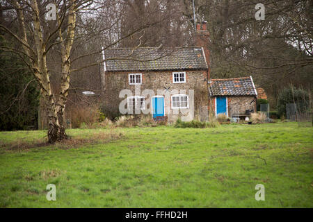 Rustico nel bosco Shottisham, Suffolk, Inghilterra, Regno Unito Foto Stock