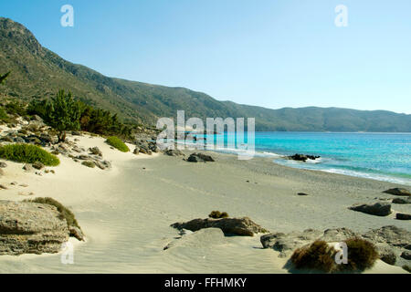 Griechenland, Kreta, Westküste, Elafonissi, Kedrodasos (auch Vroulia) Strand Foto Stock