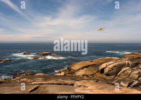 Modo di San Giacomo, Ruta Jacobea. A Muxia, A Coruña. Pietre della Punta de la Barca. San Giacomo, San Giacomo il Sentiero di San Giacomo Foto Stock