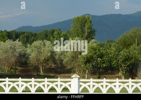 Paesaggio Greco di Bianco recinzione in primo piano, oliveto, alberi e montagna. Foto Stock