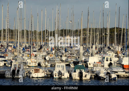 Piriac-sur-Mer porto,Loire-Atlantique,Pays de Loire,Francia Foto Stock