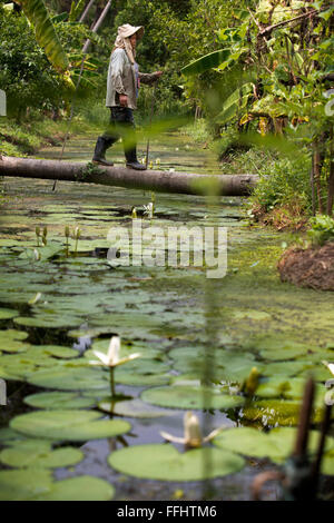 Contadina a camminare su un tronco. Ko Kret (anche Koh Kred) è un'isola del fiume Chao Phraya, 20 km a nord di Bangkok, Thailandia Foto Stock