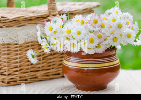 Un bouquet di margherite in una pentola sul tavolo per un picnic Foto Stock
