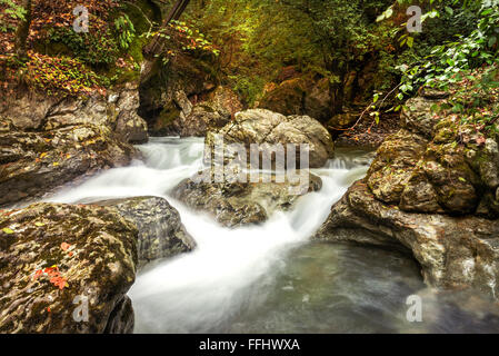 Landscape mountain river in the forest. Foto Stock