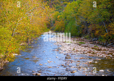 Seneca Rocks Parco Statale, West Virginia, USA. North Fork, ramo sud Fiume Potomac Foto Stock