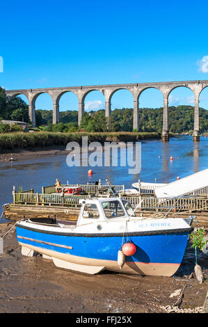 Il viadotto ferroviario corre sopra il fiume Tamar a Calstock in Cornwall, Regno Unito Foto Stock