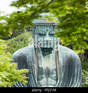 Il Grande Buddha (Daibutsu) adducendo il motivo del tempio Kotokuin a Kamakura, Giappone. Foto Stock