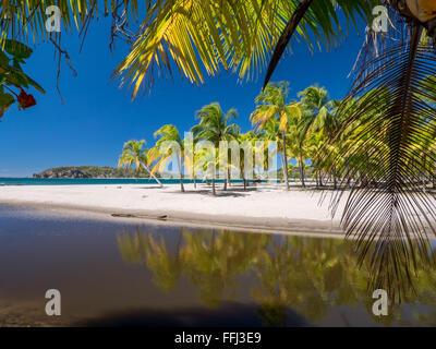 Carrillo spiaggia nei pressi di Samara, Costa Rica Foto Stock