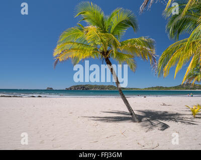 Carrillo spiaggia nei pressi di Samara, Costa Rica Foto Stock