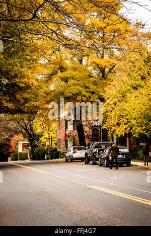 I colori dell'autunno, East Washington Street, Middleburg, Virginia Foto Stock