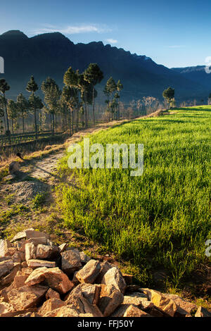 Lo splendido paesaggio della valle di Swat, KPK , il Pakistan. Foto Stock