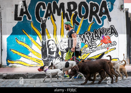 Immagini del cane in Buenos Aires 2015 (Philipp Hympendahl) Foto Stock