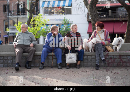 Immagini del cane in Buenos Aires 2015 (Philipp Hympendahl) Foto Stock