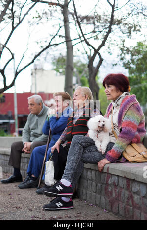 Immagini del cane in Buenos Aires 2015 (Philipp Hympendahl) Foto Stock