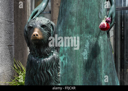 Immagini del cane in Buenos Aires 2015 (Philipp Hympendahl) Foto Stock