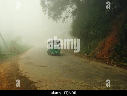 Asian tuk-tuk nella nebbia mattutina, Ella, Sri Lanka Foto Stock