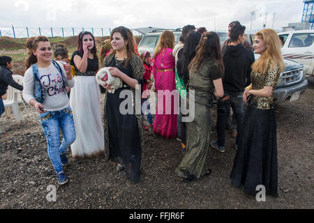 Curda matrimonio tradizionale Barika in un campo di rifugiati in Iraq Foto Stock