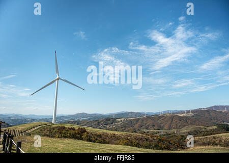 Le turbine eoliche che generano elettricità sul prato verde. Foto Stock