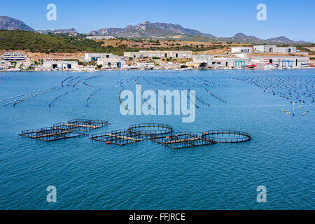 Pesce e mitilicoltura in costa Foto Stock