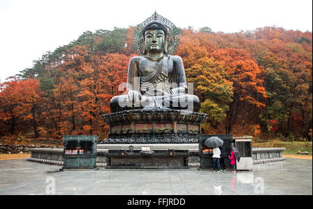 Gangwon-do, Corea del Sud - 12 Novembre 2015: Big Buddha monumento del tempio Sinheungsa Seoraksan nel Parco Nazionale di Sokcho, Sud K Foto Stock