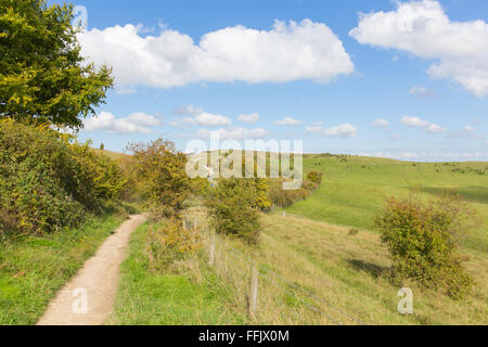 Percorso Ivinghoe Beacon Chiltern Hills Buckinghamshire England Regno Unito campagna inglese e cielo blu e nuvole Foto Stock