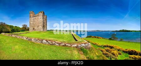 Audleys Castello contea di Down Irlanda del Nord torre quattrocentesca Casa monumento storico vicino a Strangford Lough Irlanda Irish Foto Stock