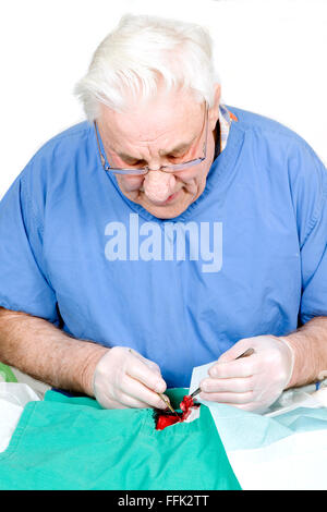 I vecchi vet operanti sul cane Foto Stock