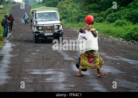 Il Parco nazionale di Virunga , sulla strada tra Goma e Rutshuru ,nel nord Kivu, nella Repubblica democratica del Congo, LA REPUBBLICA DEMOCRATICA DEL CONGO,l'Africa Centrale. Foto Stock