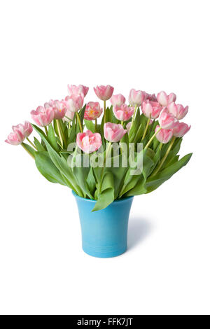 Vaso blu con freschi tulipani rosa su sfondo bianco Foto Stock